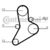 CONTITECH CT622 Timing Belt